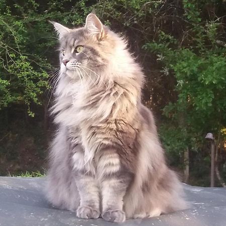 Hugoren Egoitza Zubialde Buitenkant foto