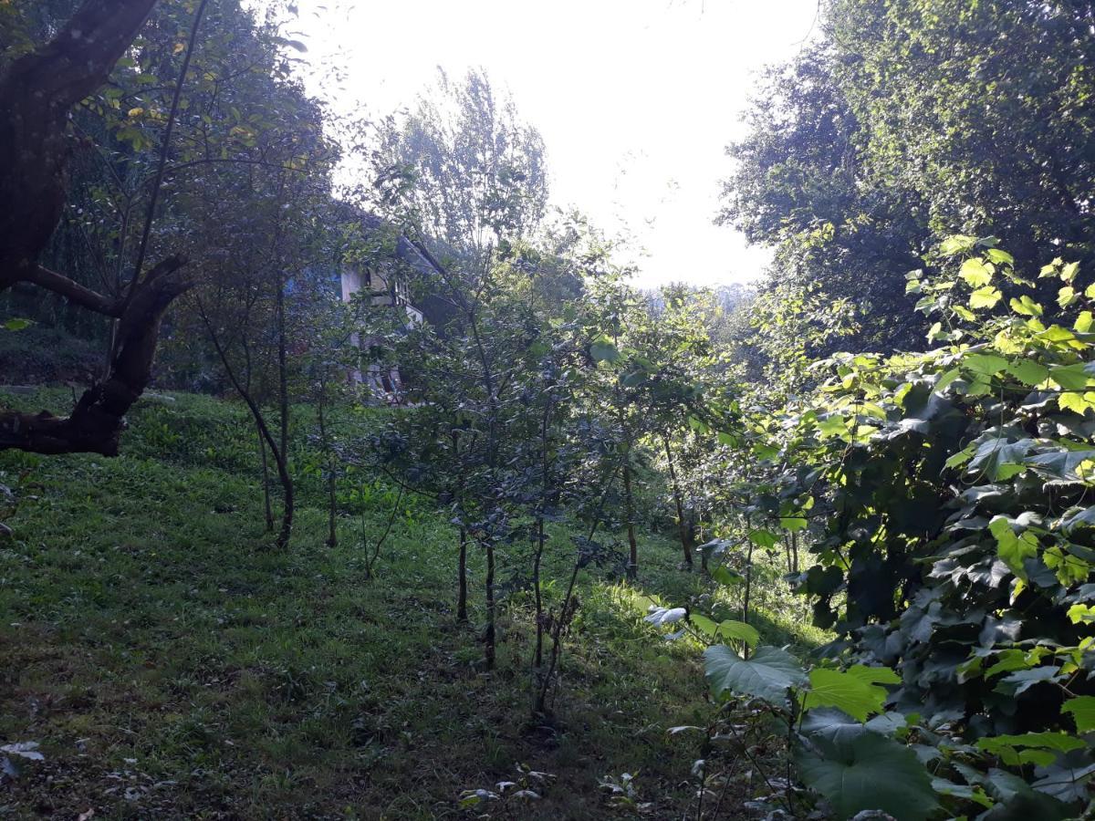 Hugoren Egoitza Zubialde Buitenkant foto