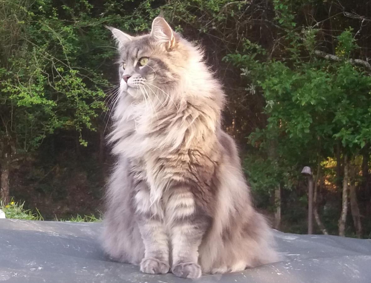 Hugoren Egoitza Zubialde Buitenkant foto